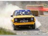 30-03-2019 D47I8914 : rally north wales 2019