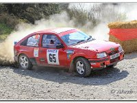 30-03-2019 D47I9164 : rally north wales 2019